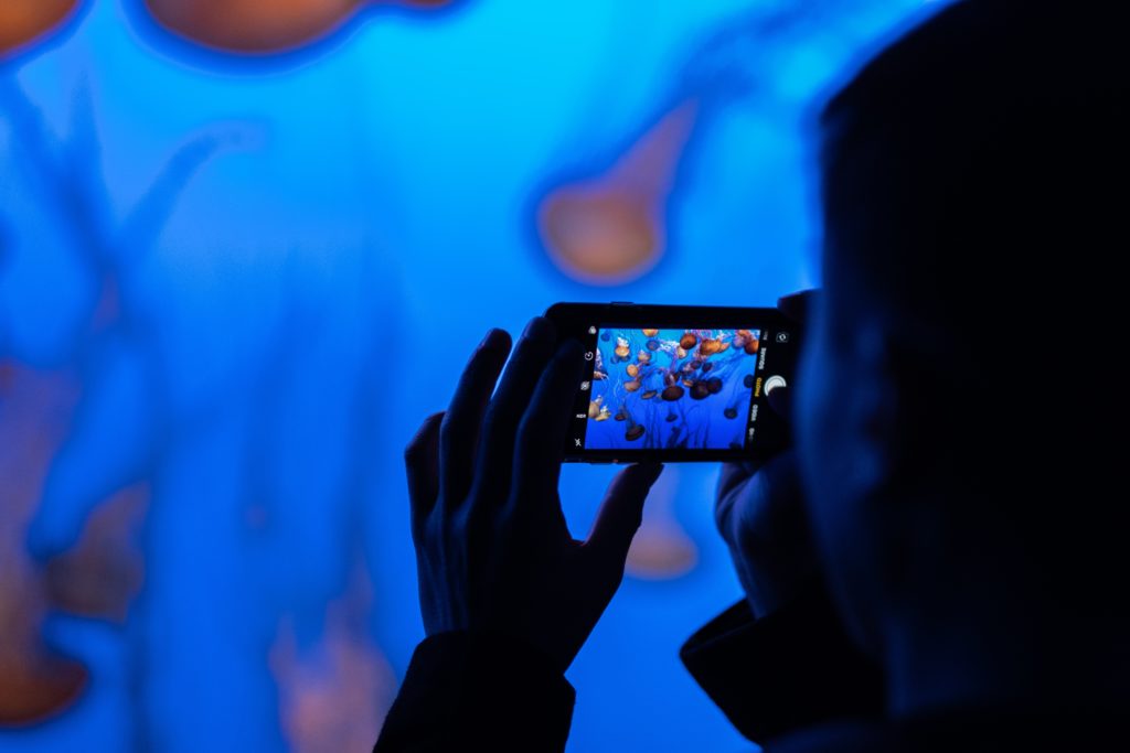 All This Technology is Making Us More Human